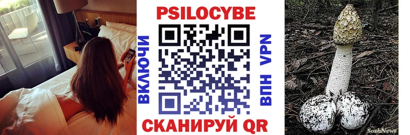 где купить   Сусуман  Галлюциногенные грибы Psilocybine cubensis 